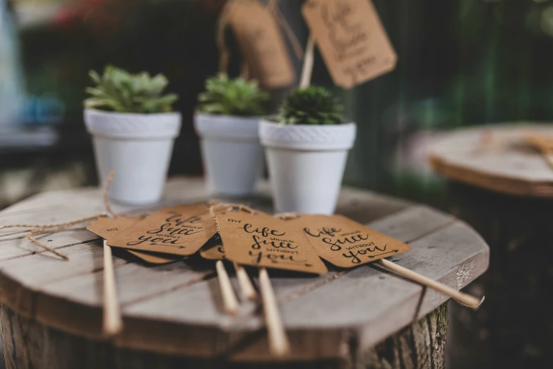 there are wooden signs that say different names