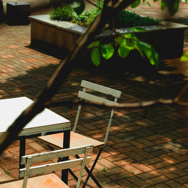 a chair and table in the sun with a tree in the background