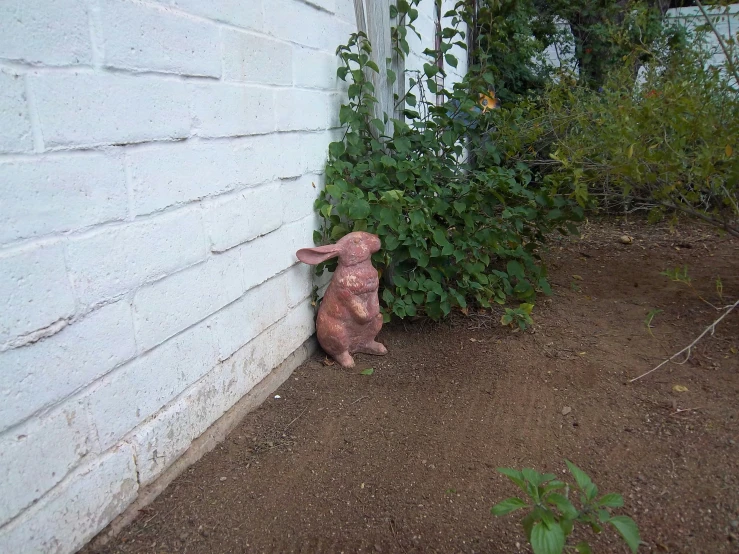 a stuffed rabbit standing behind a white wall