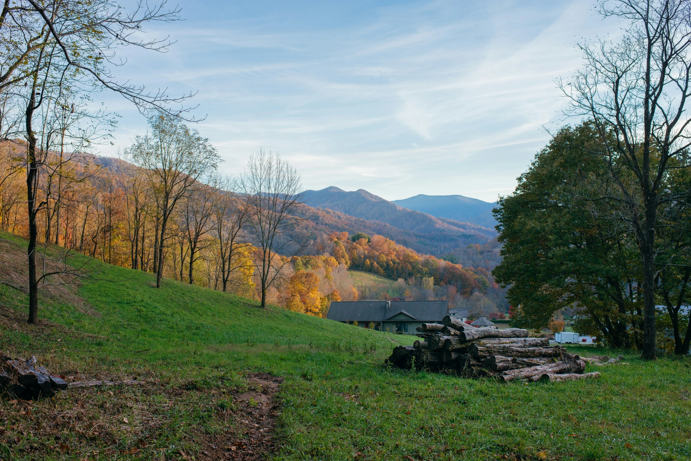 the trees have fallen on top of the mountain