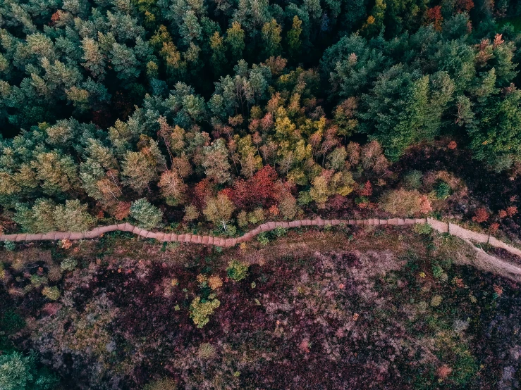 the view from above of a dirt road surrounded by trees