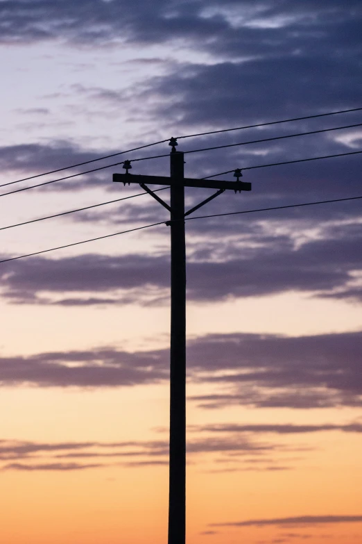 a bird is perched atop an electric pole