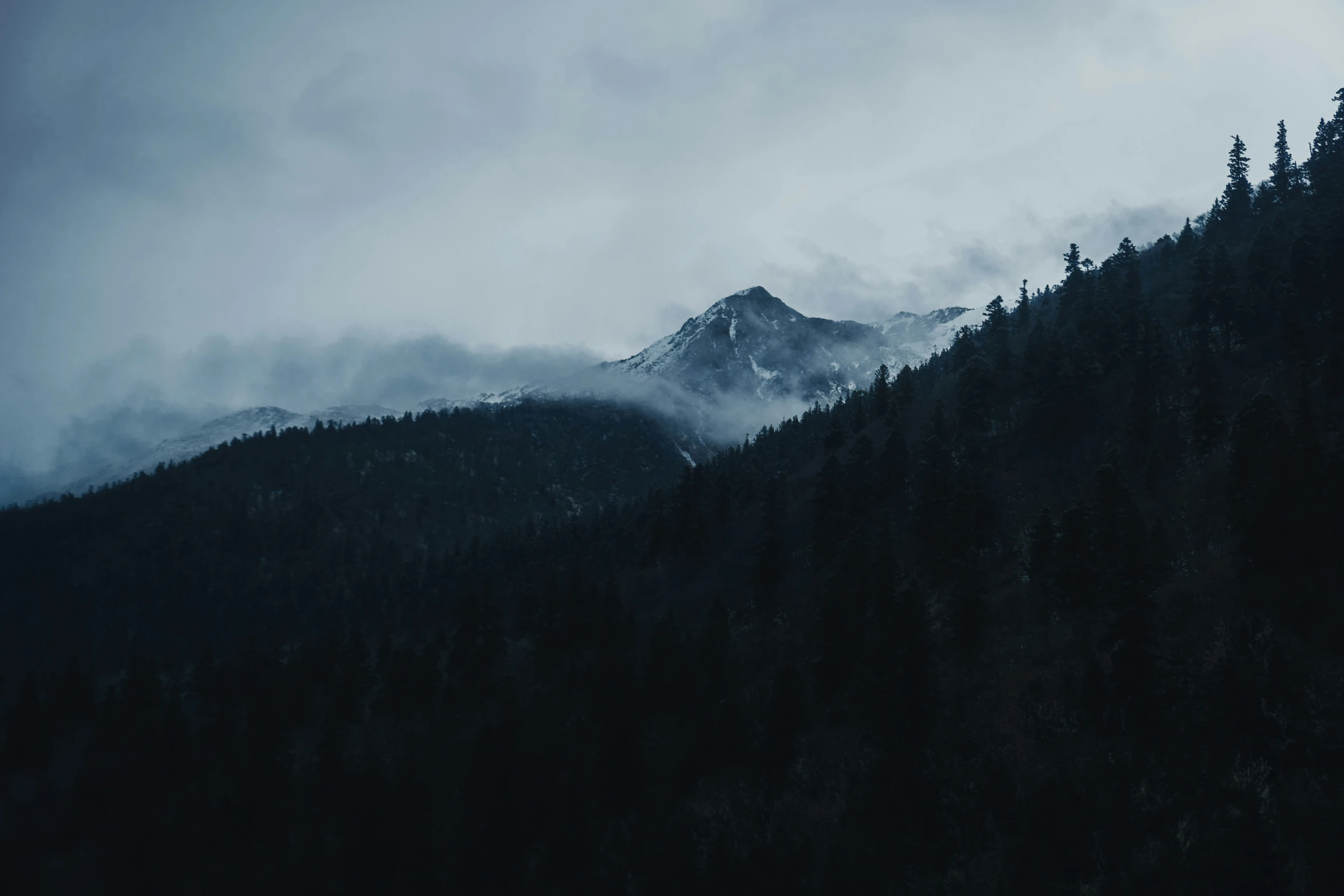 some very pretty mountains with a bunch of trees