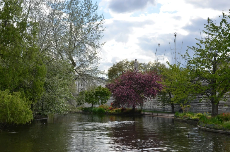 the river is surrounded by trees and bushes