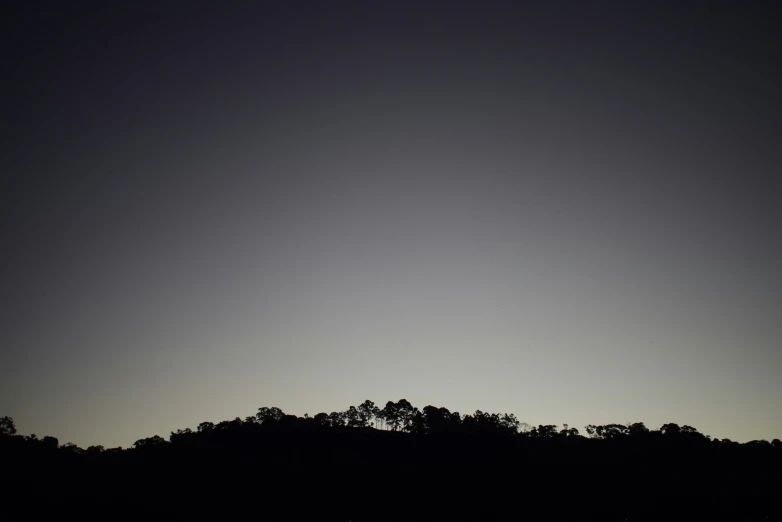 the silhouette of some trees against a dark sky