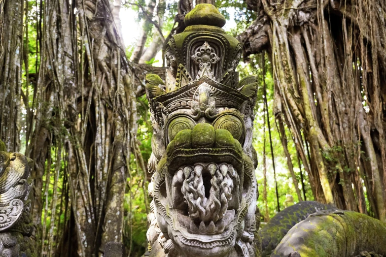 the face and head are in the forest with moss