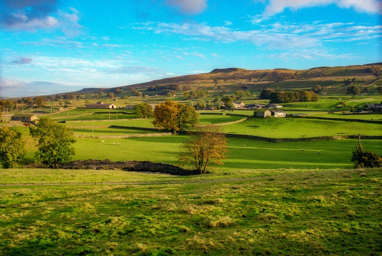 a lush green valley with hills in the background