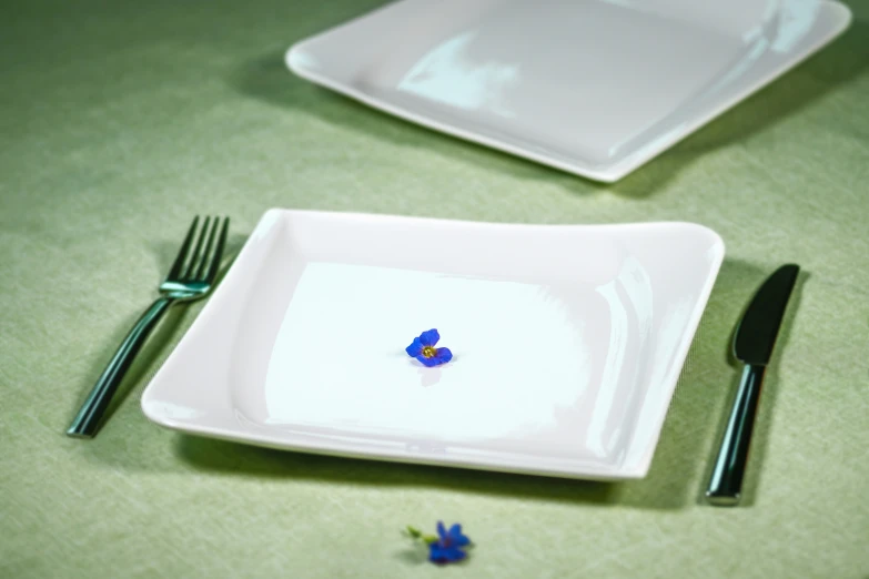 a couple of plates with little flowers and fork laying on the floor