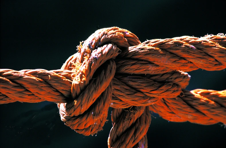 closeup of an orange rope and rings