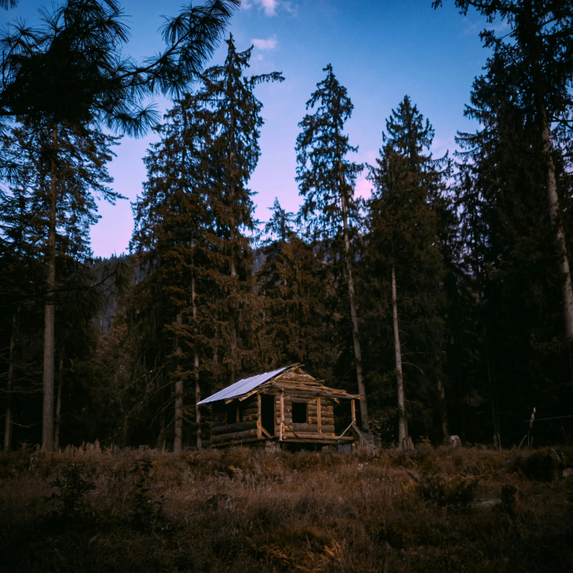a cabin in a forest at dusk with trees