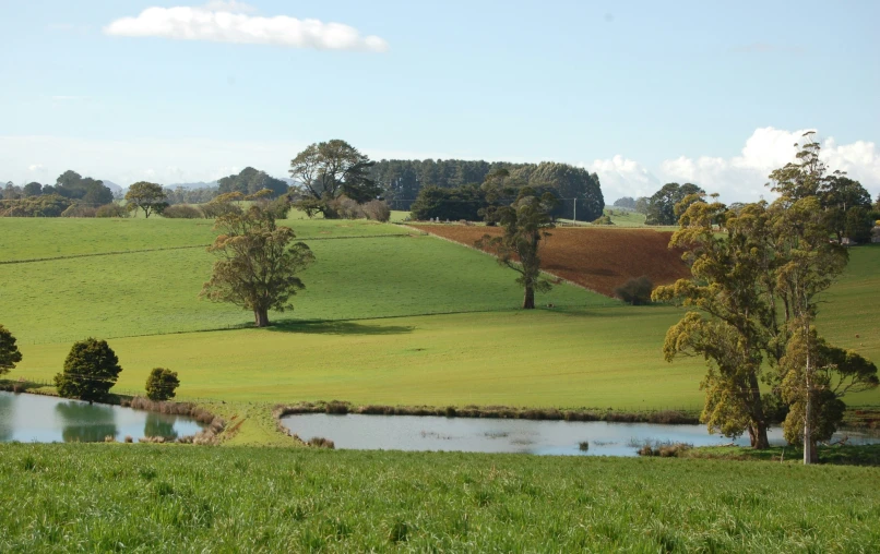 a lush green field surrounded by trees and water