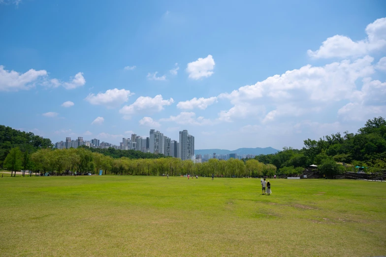 a park with grass and some buildings in the background