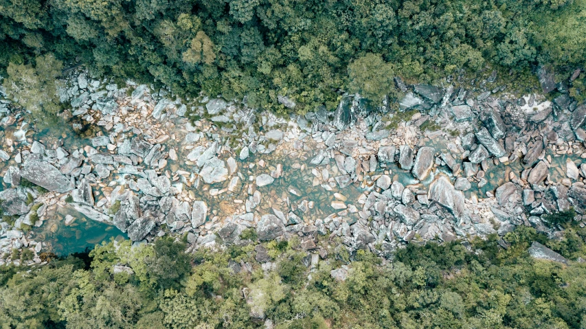 the rock area is covered in lots of trees