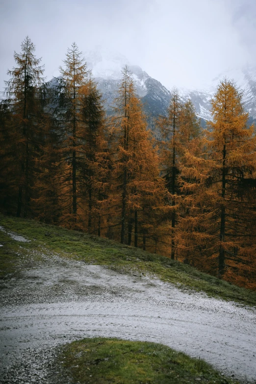 path in the fall on top of a mountain