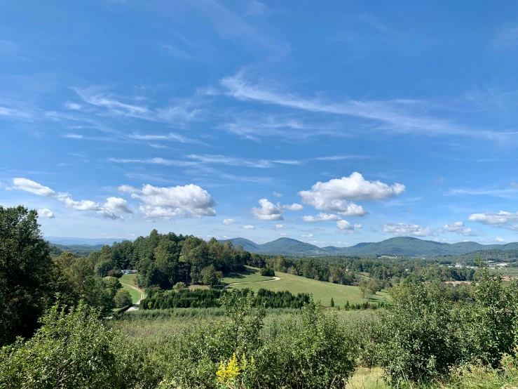 a view of a hilly area with many trees