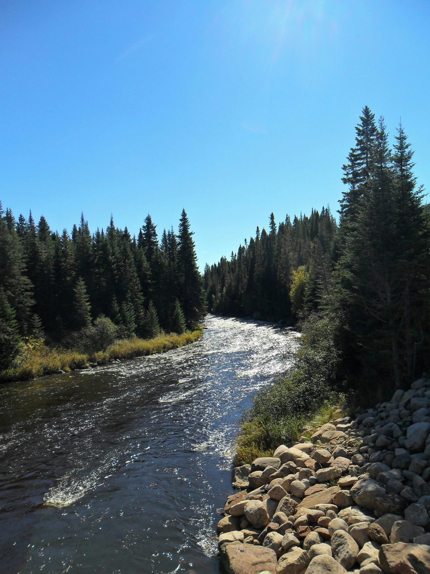 the sun shines in a clear blue sky above a river