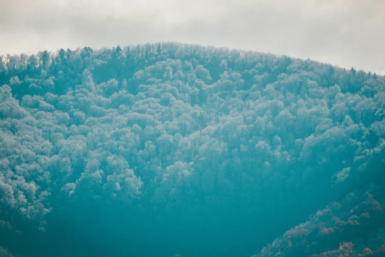 green and white trees against a cloudy blue sky