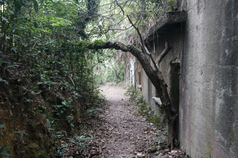 a trail between two concrete buildings surrounded by trees