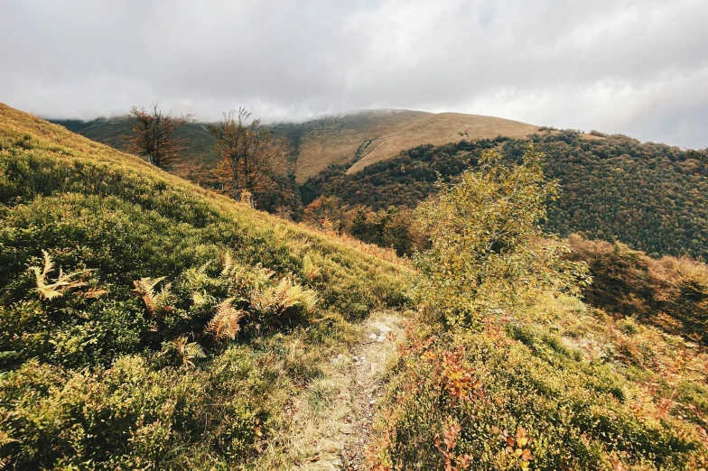 there is a trail going up a steep mountain