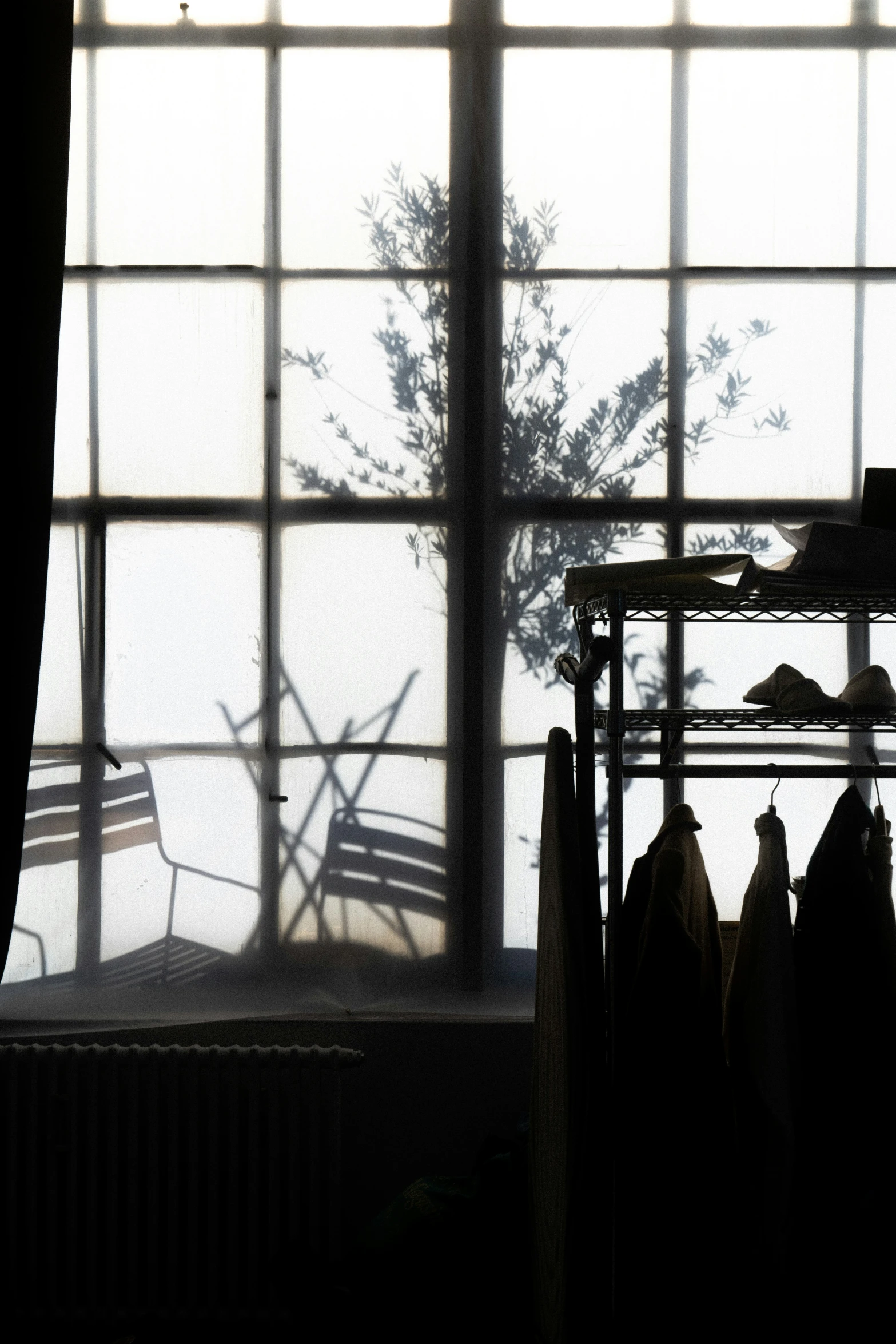 a window view of trees and a bench outside