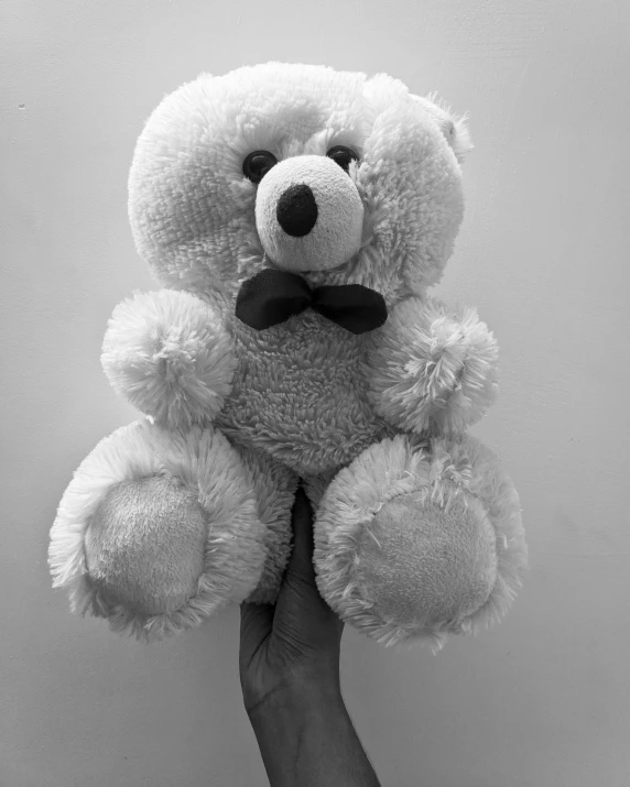 the hand is holding the stuffed bear in black and white
