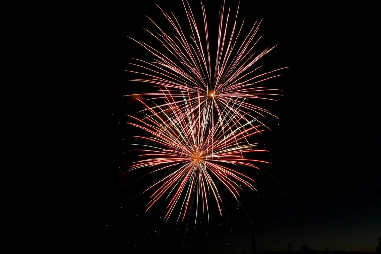firework bursts into the sky during an event