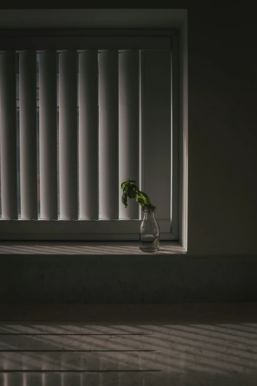 the view from an empty room looking out onto a thin window