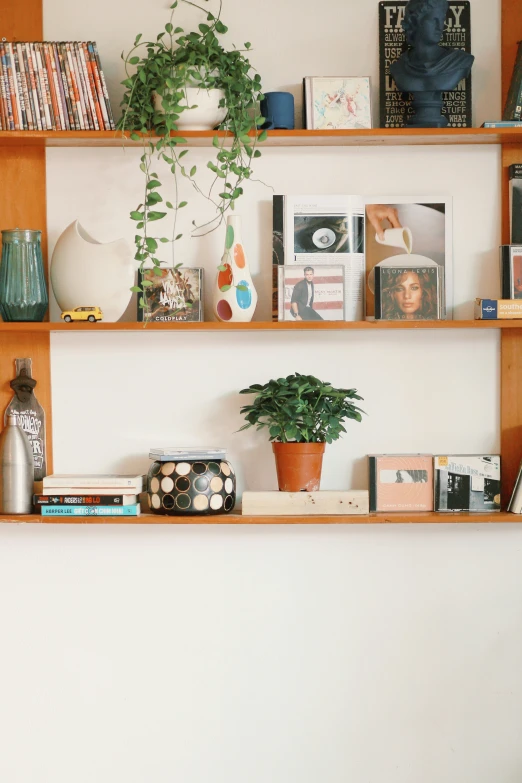 two bookshelves with plants and pos on them