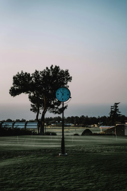 a clock tower on a small hill near a tree