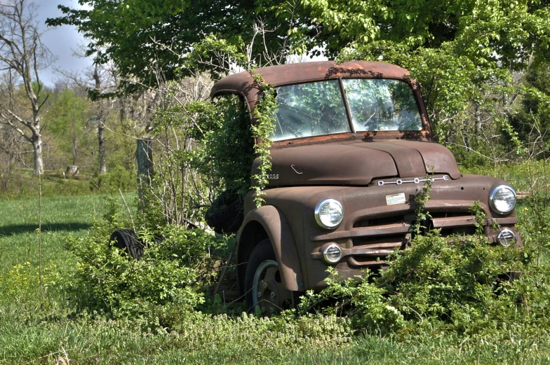 a truck with vines on it parked in the grass
