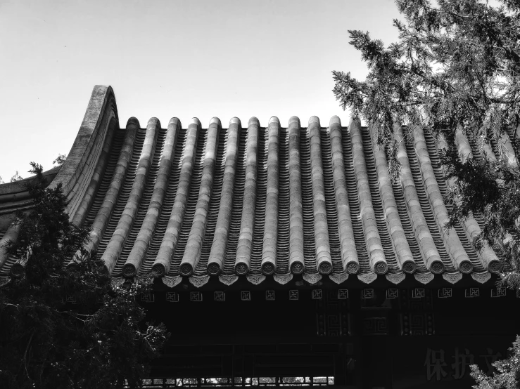 the roof on an asian building with trees in front