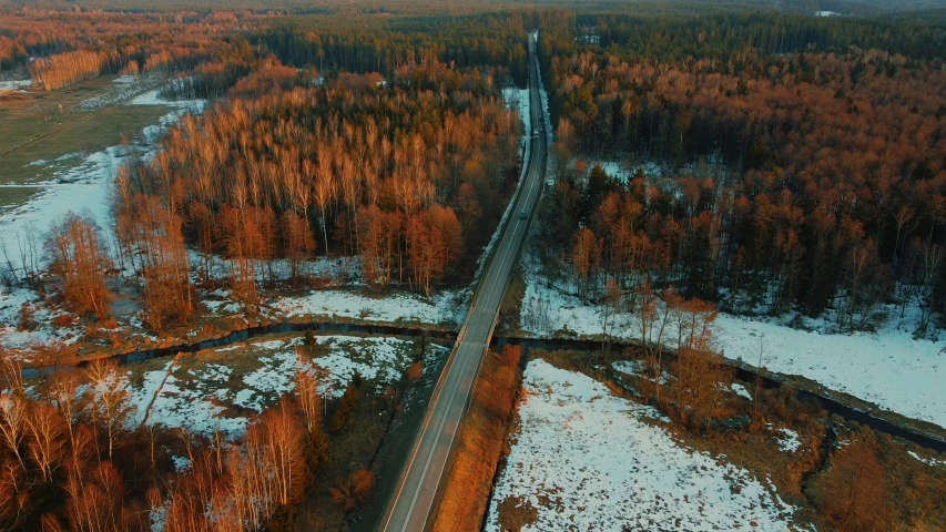 a long country road runs through an expanse with trees