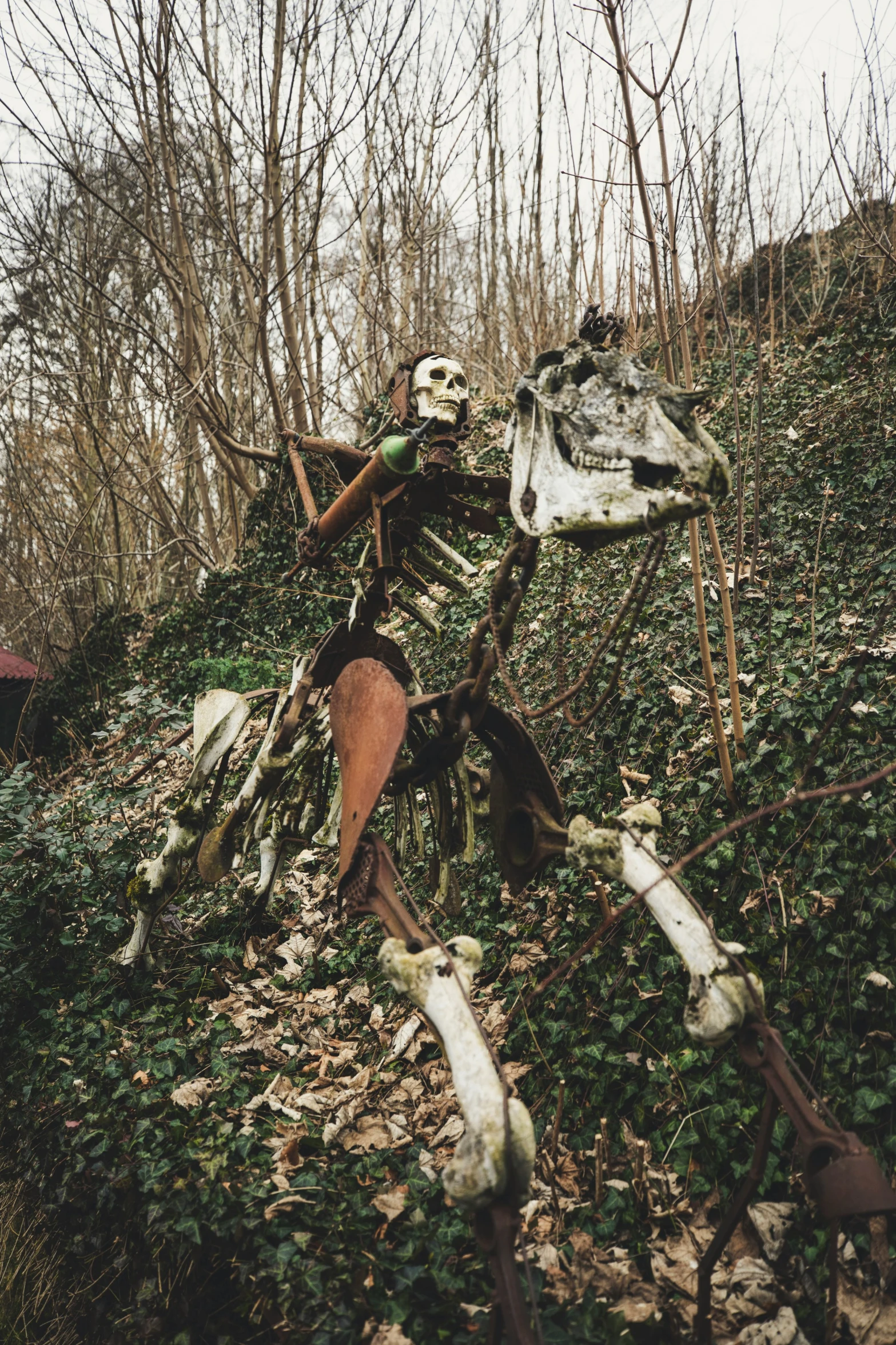 a pile of rotting plants in the forest