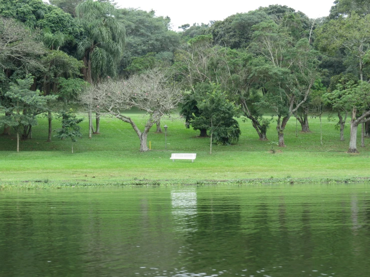 a bench sitting in the grass next to water