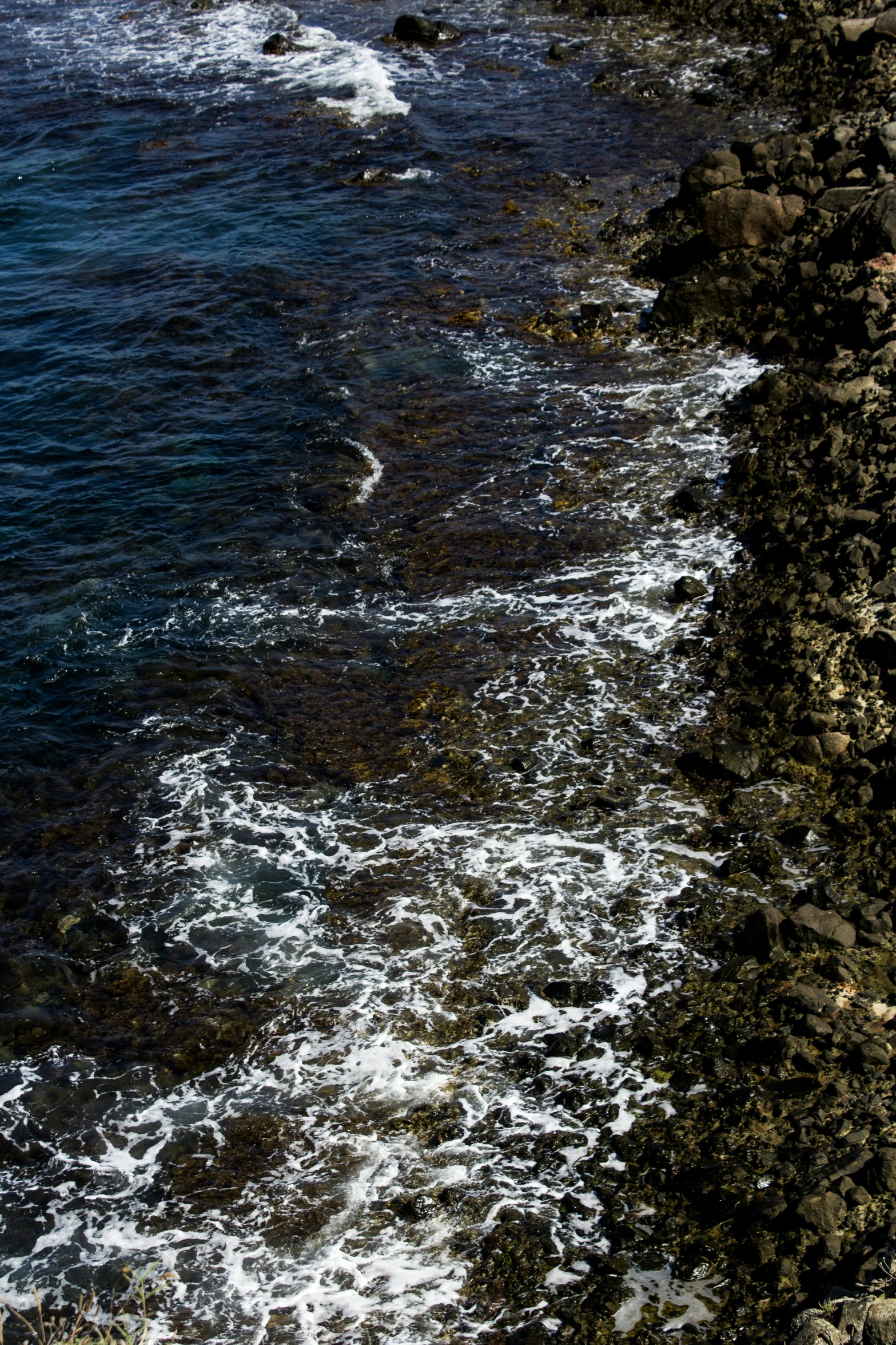 the ocean is getting some water to feed