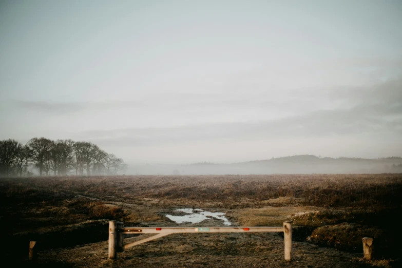 a beautiful landscape with a small stream and fog