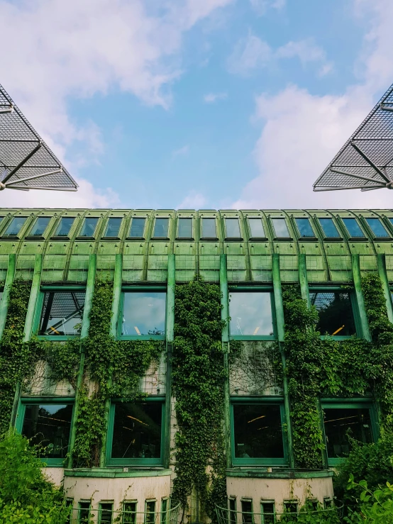 some windows in a building with green foliage