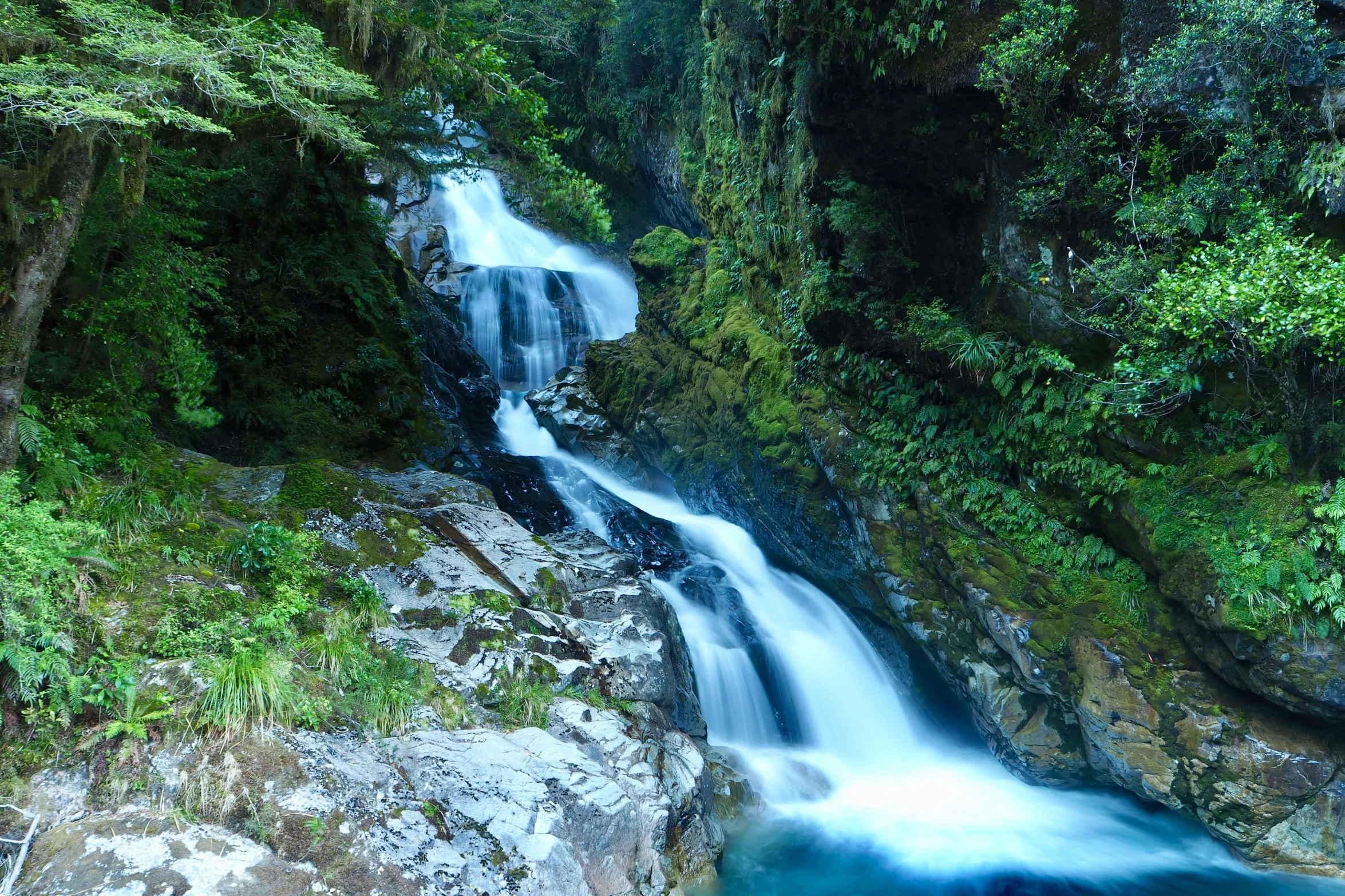 large waterfall in tropical rainforest with trees