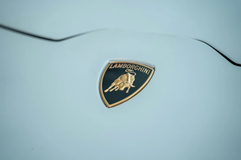 an emblem on a blue sports car with gold detailing