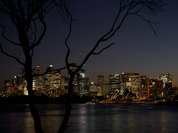 a very large city lit up at night