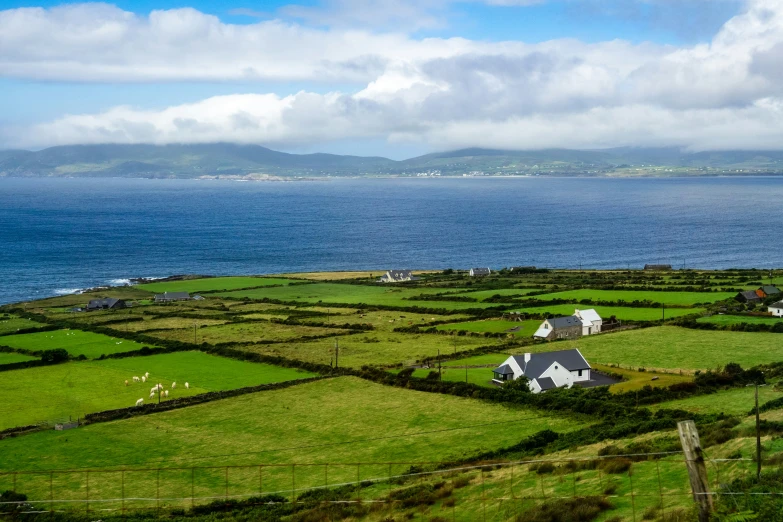 a house in a large field by the water