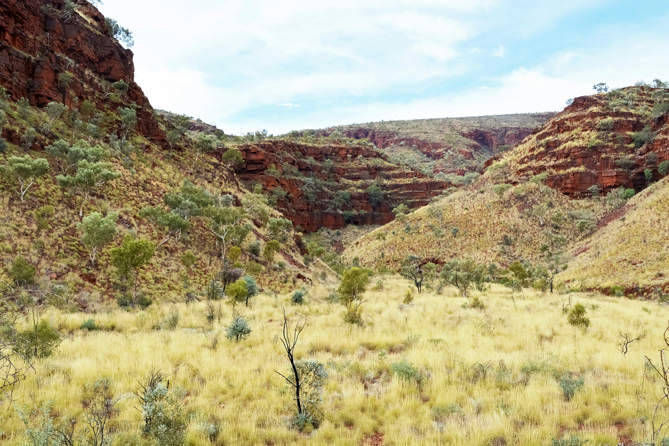 a mountain side in a dry grass valley