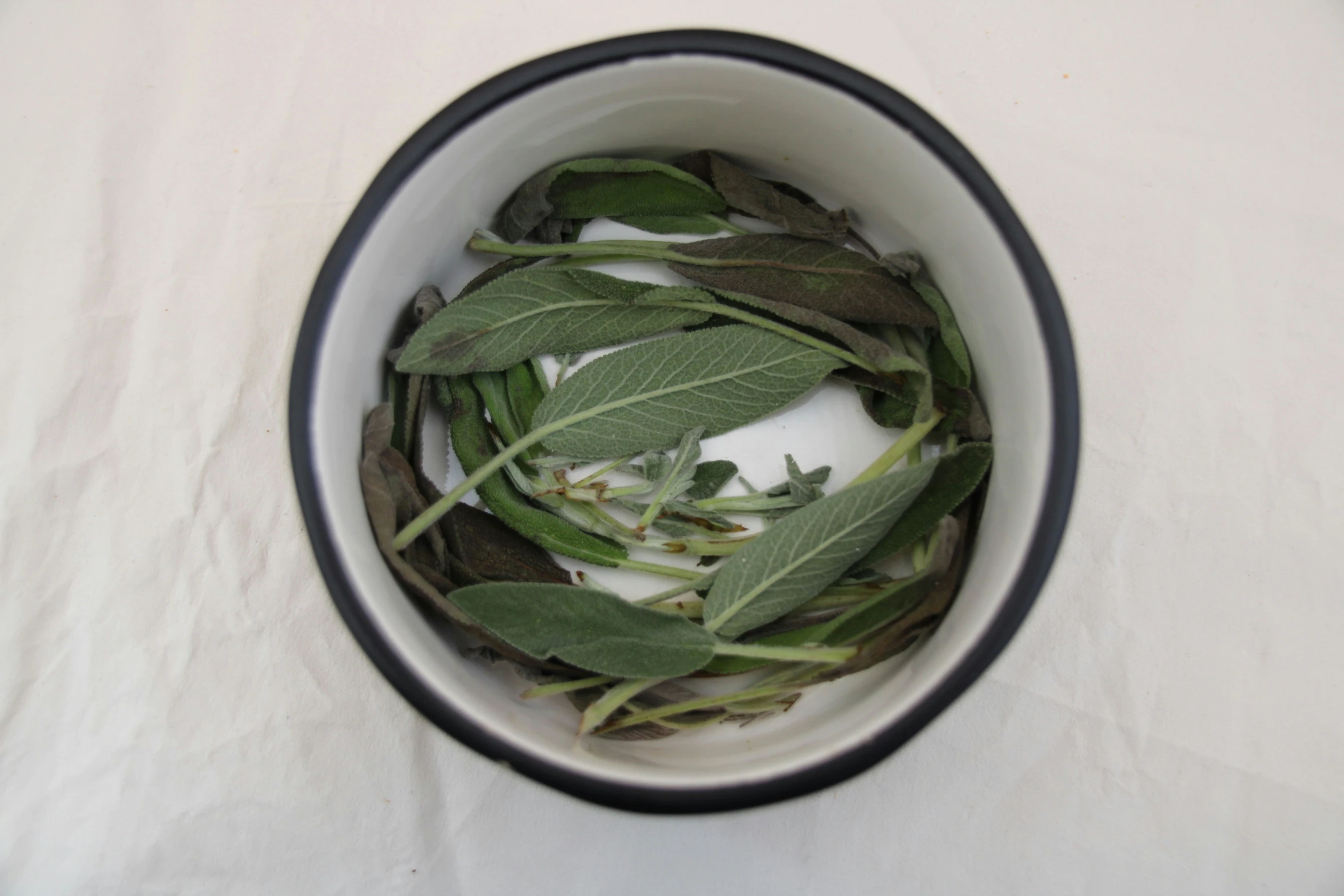 a bowl of leaves and water on a white surface