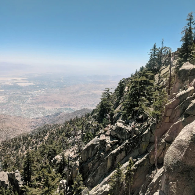 a view from a rocky outcropping of a valley and surrounding trees