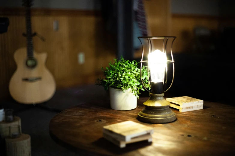 a light bulb sitting on top of a table next to a plant