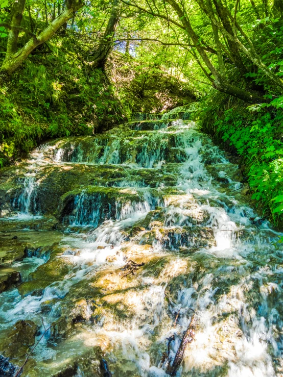 an image of a stream in the woods