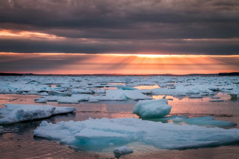 large ice floes floating on top of the ocean