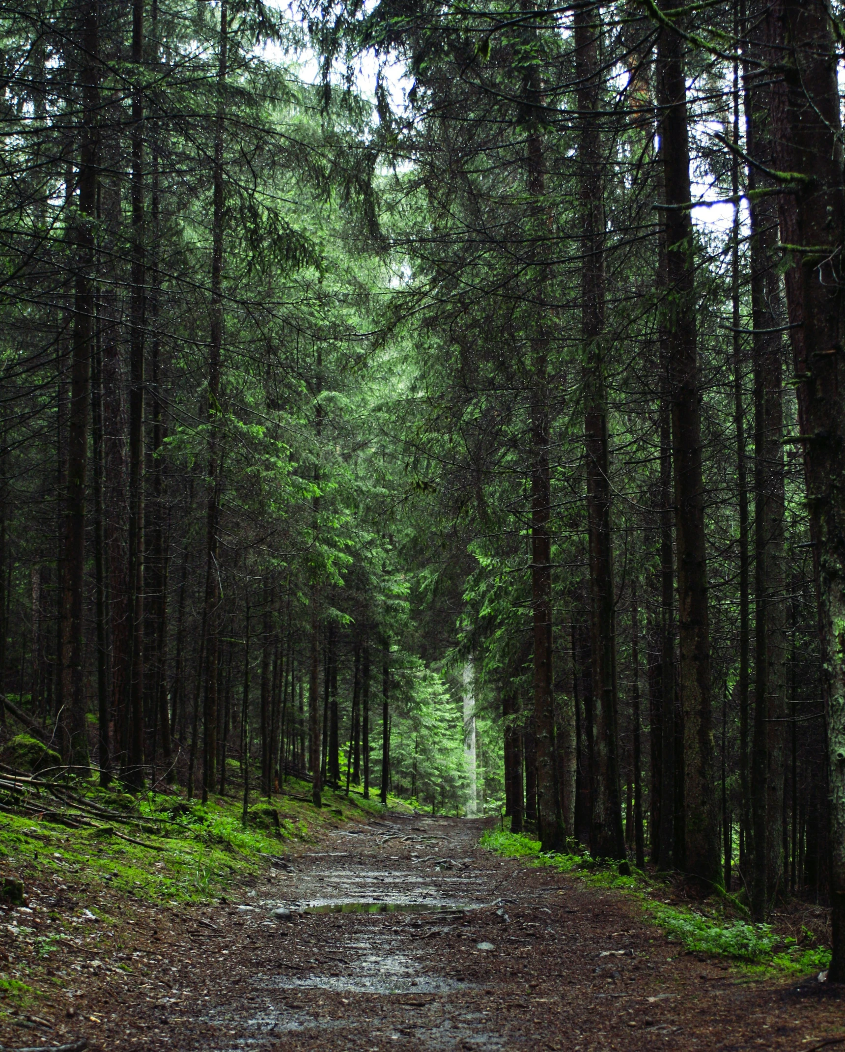 the road has been very narrow and very narrow