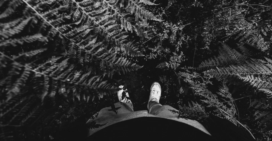 a person standing on the ground next to large plants