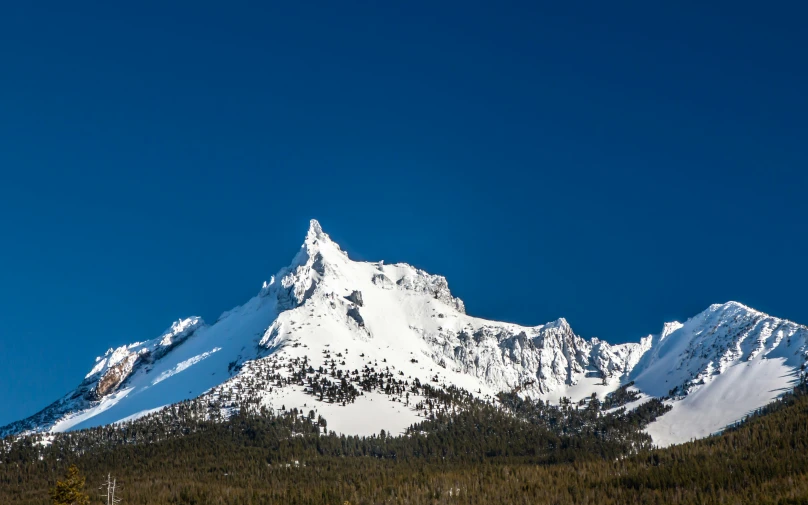 snow covered mountains with evergreen trees and a clear blue sky